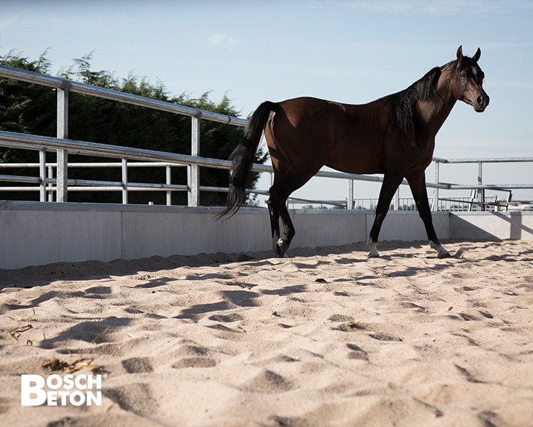 Bosch Beton - Paddocks van keerwanden voor Arabische renpaarden