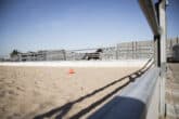 Bosch Beton - Paddocks van keerwanden voor Arabische renpaarden