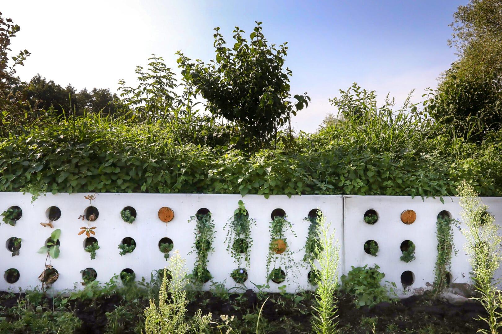 Bosch Beton - De bio-keerwand draagt positief bij aan biodiversiteit