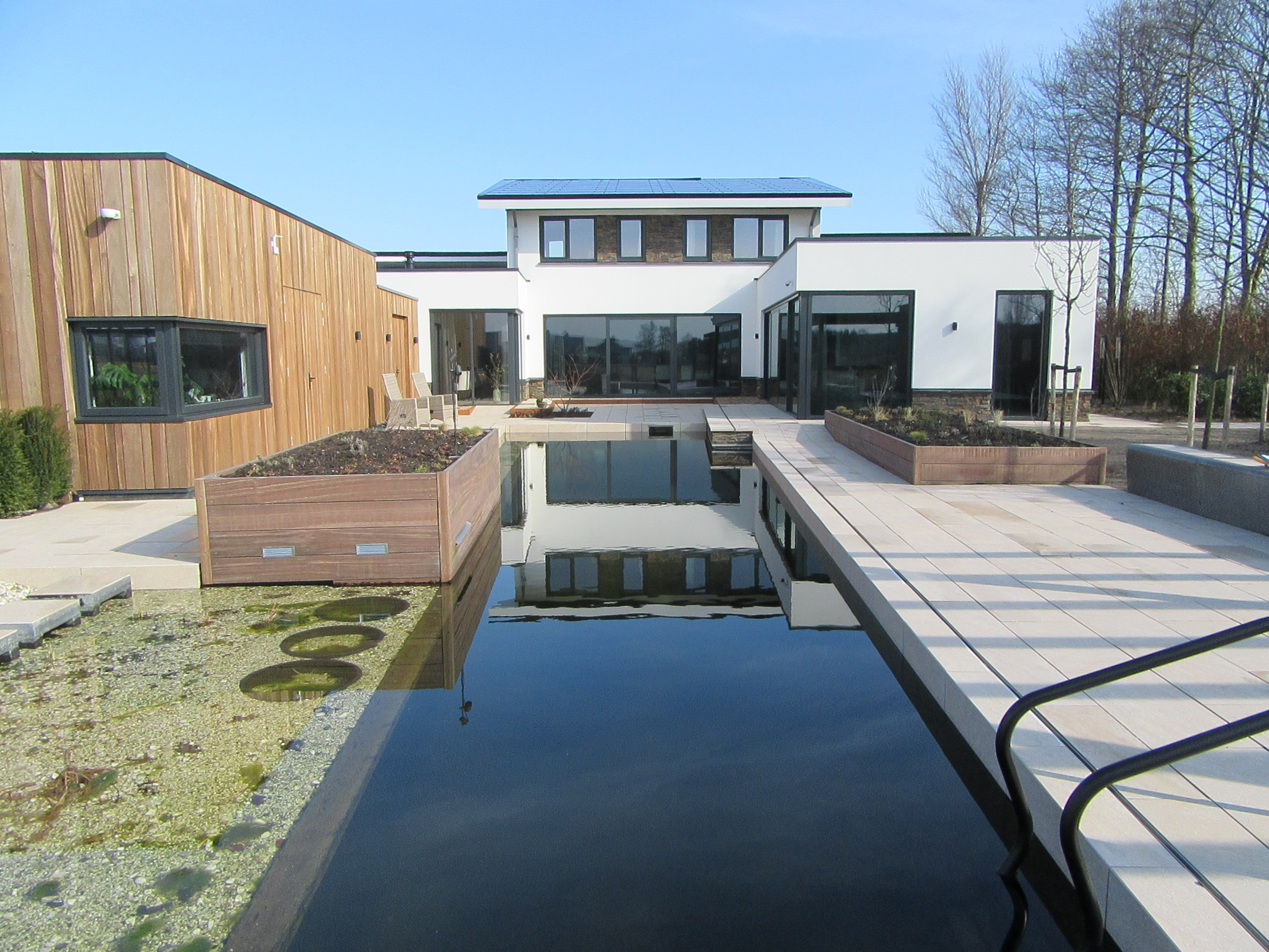 Natürlicher Schwimmteich in Noordwijkerhout
